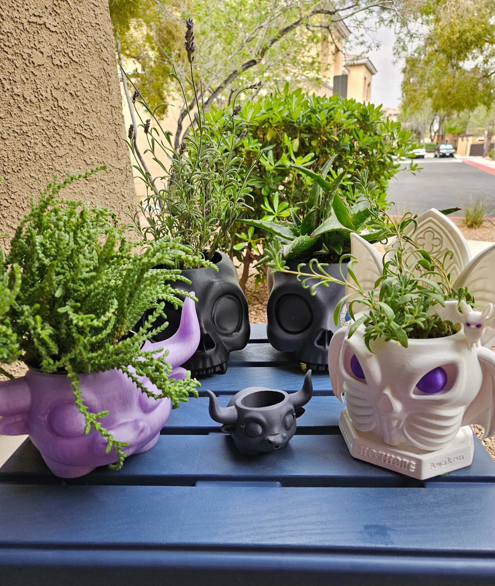 outdoor picture of 4 planters with plants